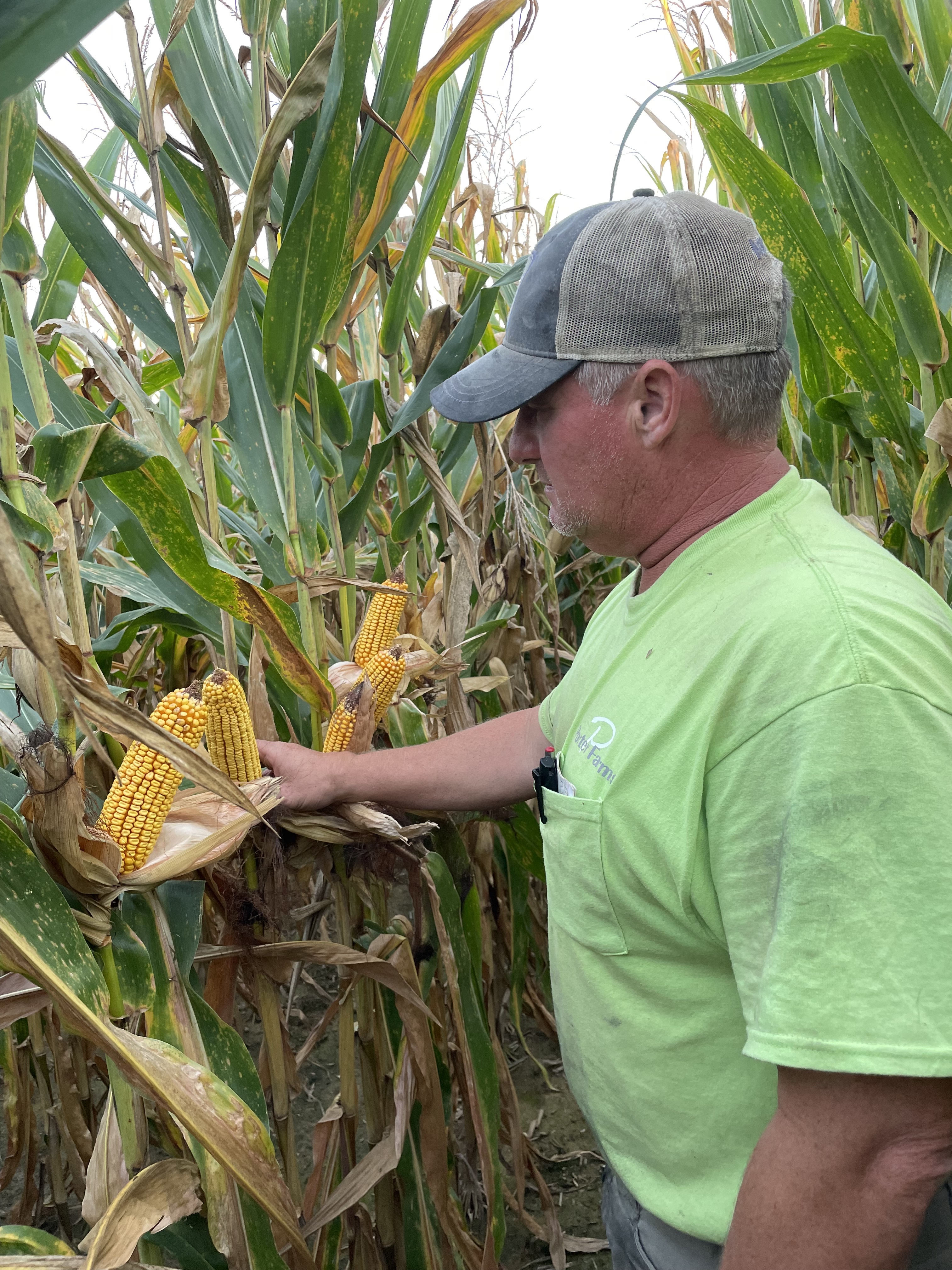 Farmer Chad Porter looking at corn