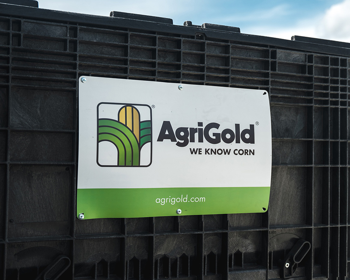 photo of AgriGold seed box