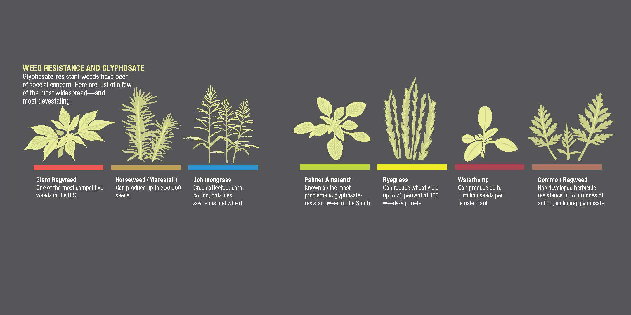 Weed Resistance and Glyphosate