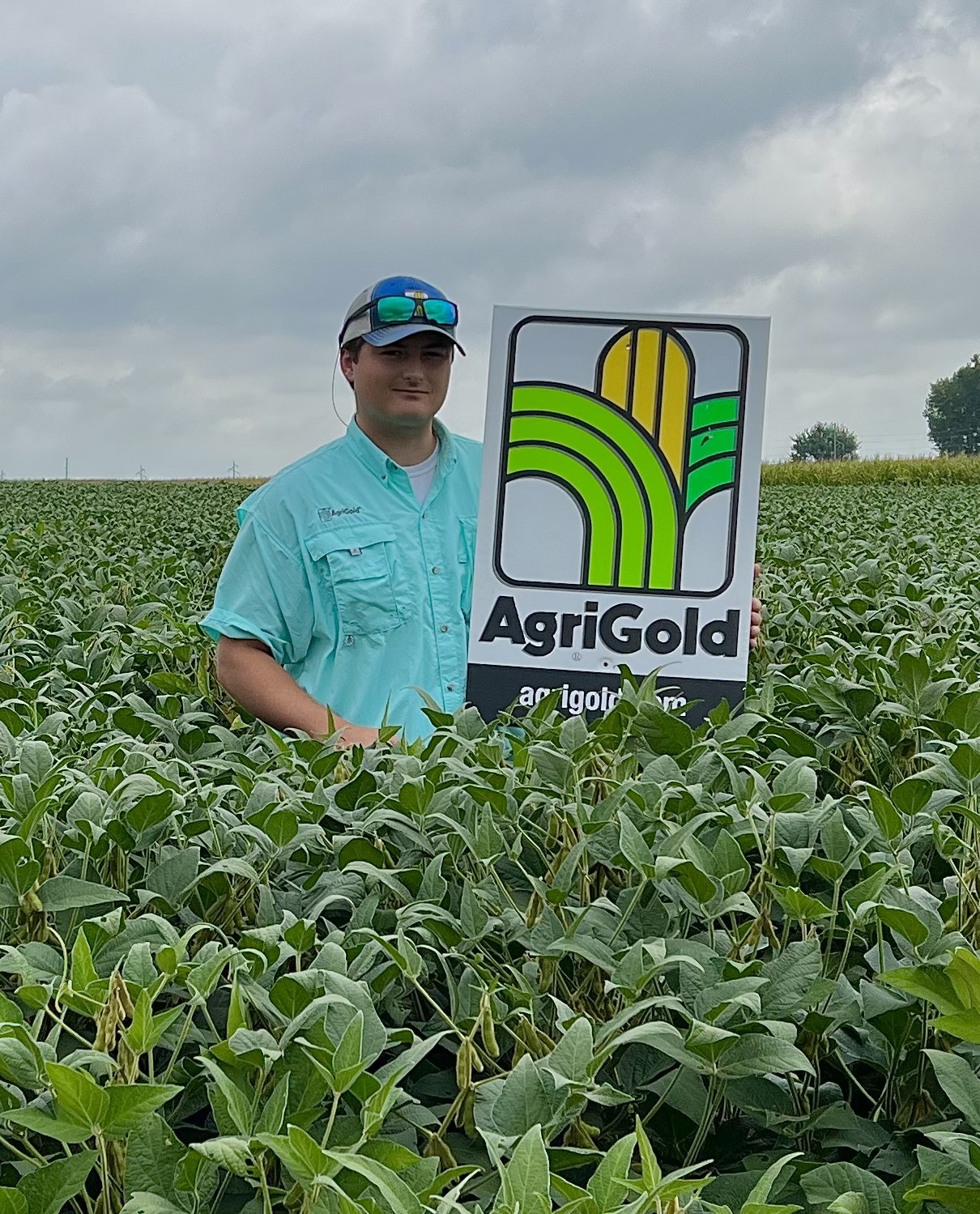 AgriGold agronomist Brett Leahr